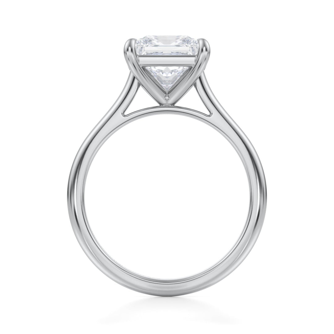 Princess Classic Cathedral Ring (1.00-1.15 Carat F-VS2)