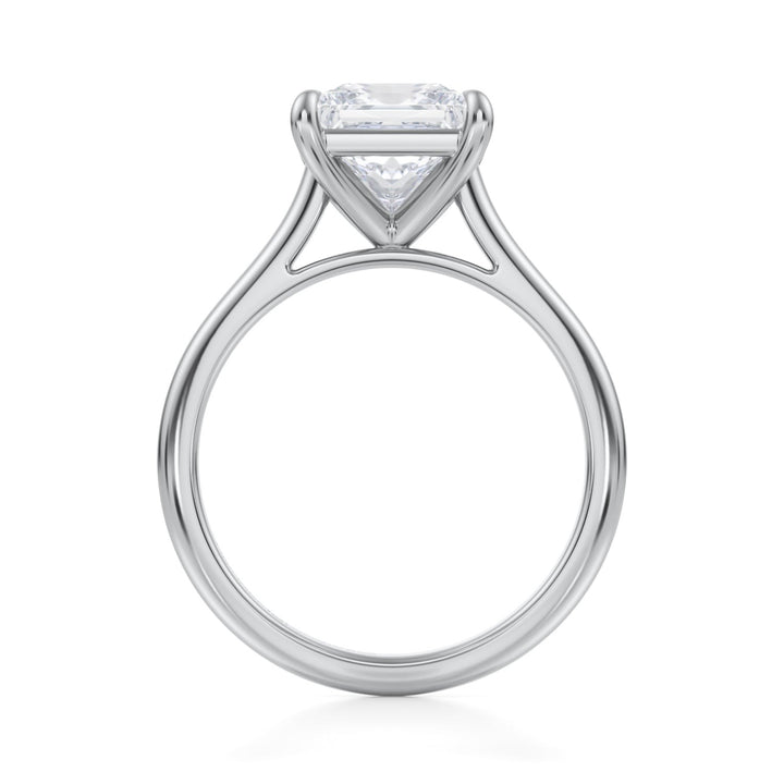 Princess Classic Cathedral Ring (1.00-1.15 Carat F-VS2)