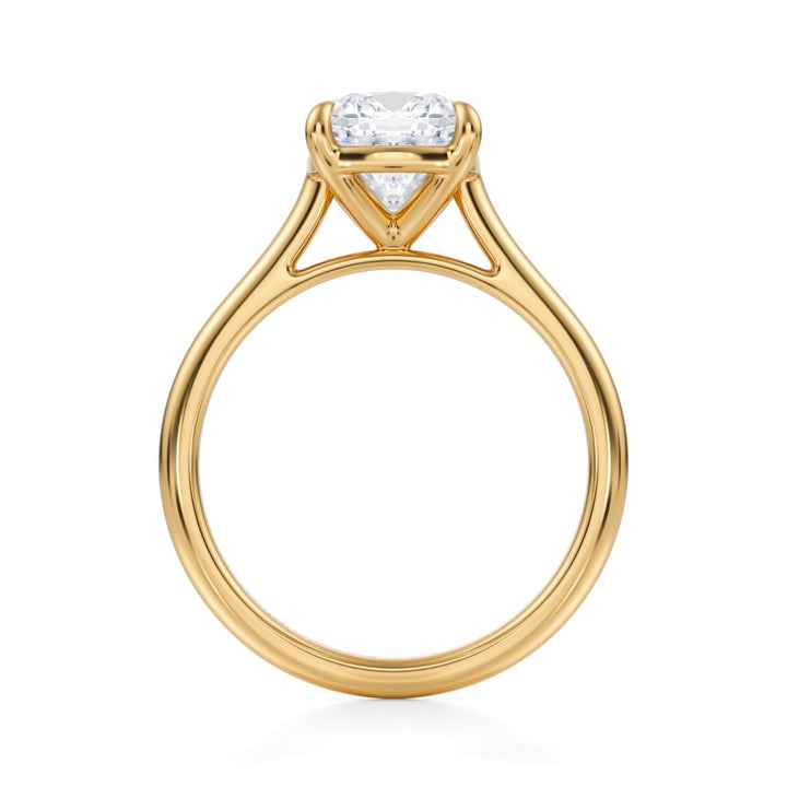 Cushion Classic Cathedral Ring (1.00-1.15 Carat F-VS2)