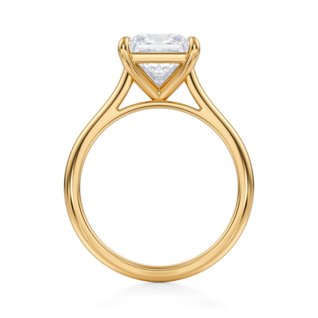 Princess Classic Cathedral Ring (1.00-1.15 Carat F-VS2)