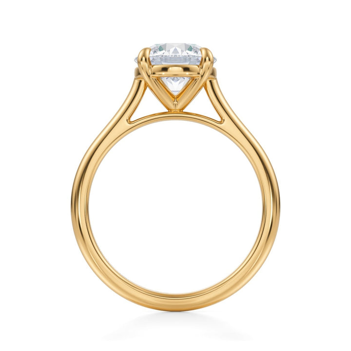 Round Classic Cathedral Ring (1.00-1.15 Carat F-VS2)