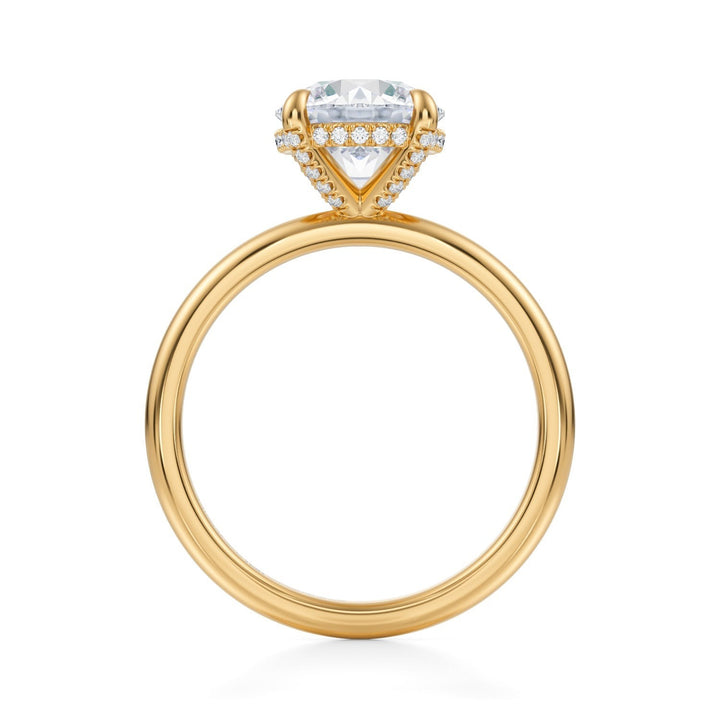 Round Solitaire Ring With Pave Basket (1.00-1.15 Carat F-VS2)